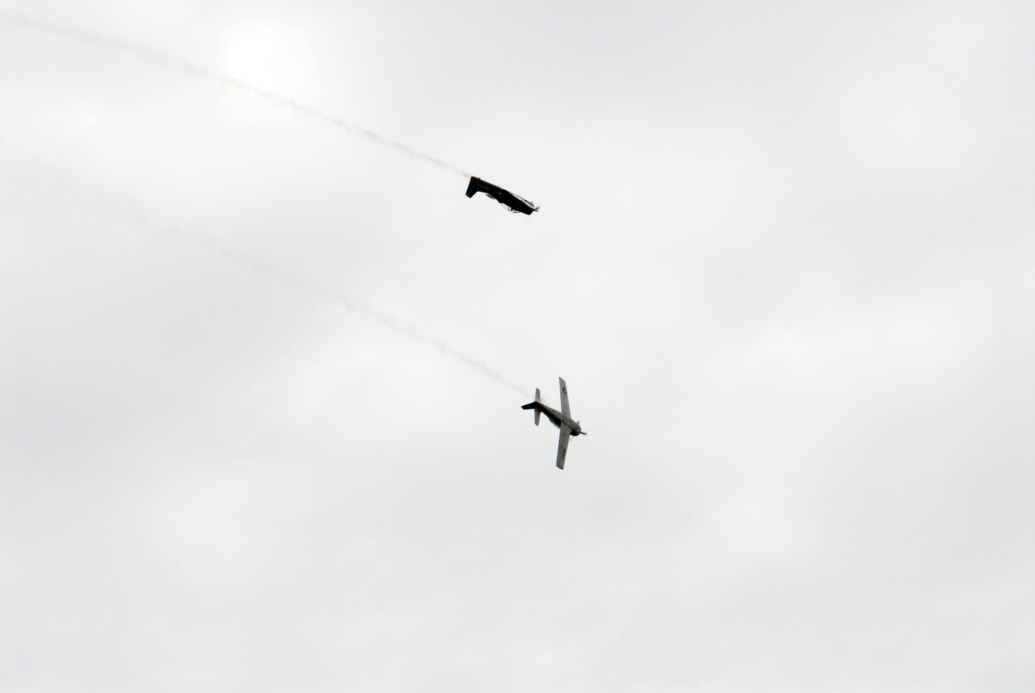 DSC_0441